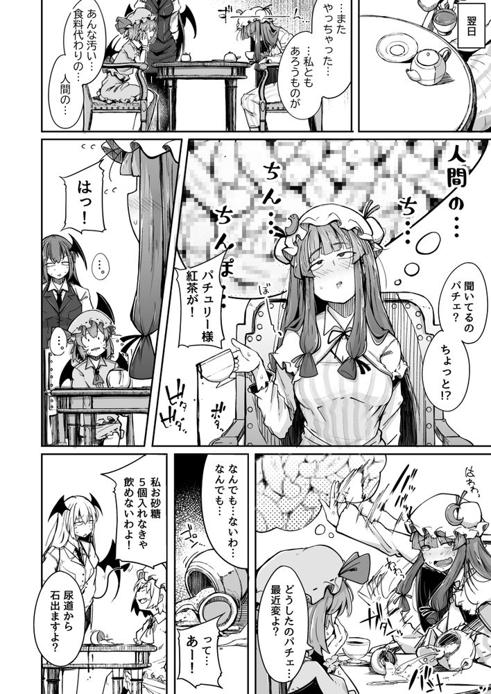 無料エロ漫画 【パチュリーエロ漫画】オナニー中毒になってしまった魔女が徐々に快楽の沼に堕ちていく…そして変態プレイへと身を投じていく【穴とむっつりどすけべだいとしょかん総集編／自家発電処】 FANZA