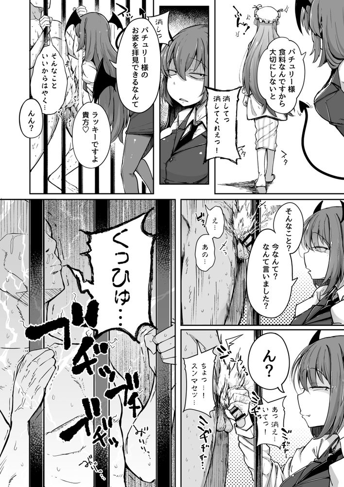 無料エロ漫画 【パチュリーエロ漫画】オナニー中毒になってしまった魔女が徐々に快楽の沼に堕ちていく…そして変態プレイへと身を投じていく【穴とむっつりどすけべだいとしょかん総集編／自家発電処】 FANZA