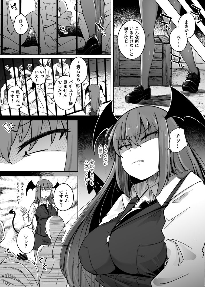 無料エロ漫画 【パチュリーエロ漫画】オナニー中毒になってしまった魔女が徐々に快楽の沼に堕ちていく…そして変態プレイへと身を投じていく【穴とむっつりどすけべだいとしょかん総集編／自家発電処】 FANZA