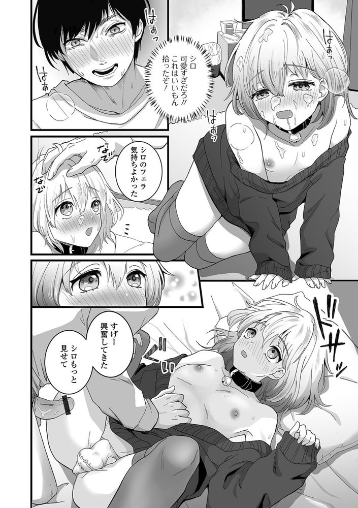無料エロ漫画 【男の娘エロ漫画】拾ってきた男の娘に首輪をつけてディープスロートさせて！溜まってれば可愛い男だろうと俺はイケんだよwww【捨て猫シロは俺のペット／おくた慧】 FANZA