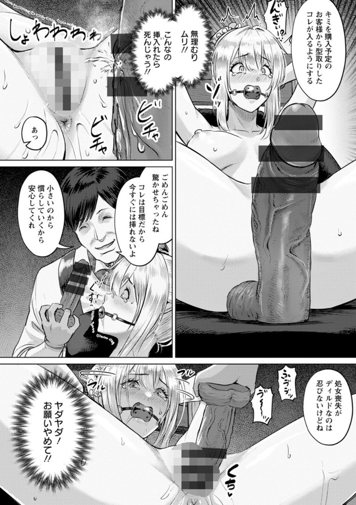 無料エロ漫画 【メイド調教エロ漫画】理想の性処理メイドを調教する変態調教師現る【理想の肉女像／池竜静留】 FANZA